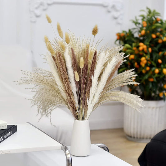 Fluffy Natural Plant Decor