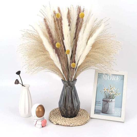 Munskine Fluffy Dried Pompous Grass