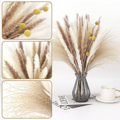Munskine Fluffy Dried Pompous Grass