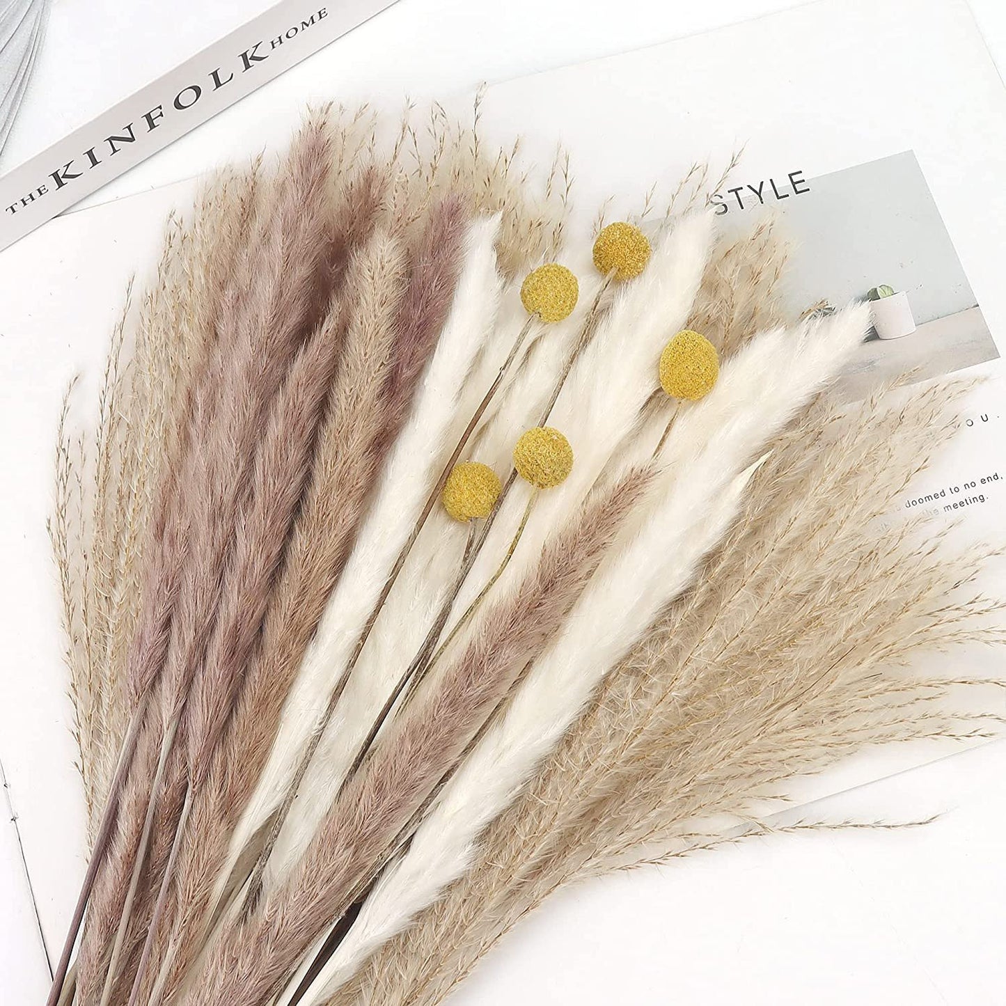 Munskine Fluffy Dried Pompous Grass