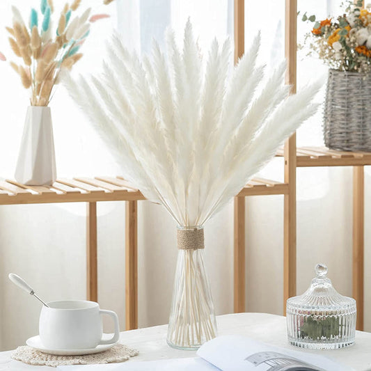 Dried Pampas Grass for Boho Decor